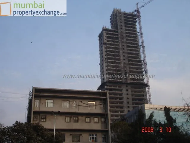 10 March 2008