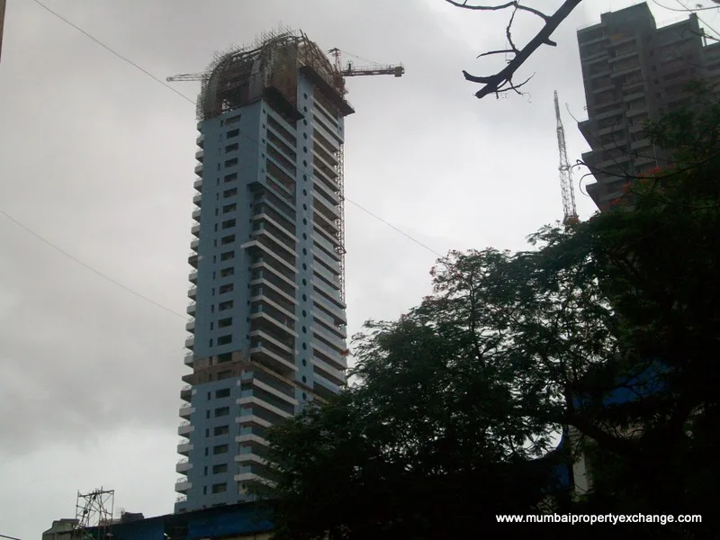 25 July 2009