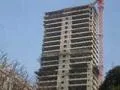 3 Feb 2009