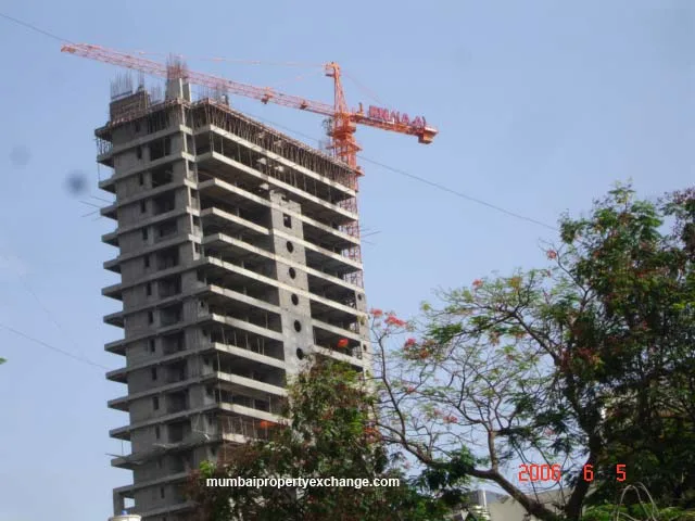 5 June 2006