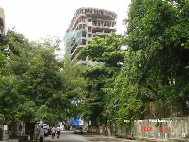 24 July 2006
