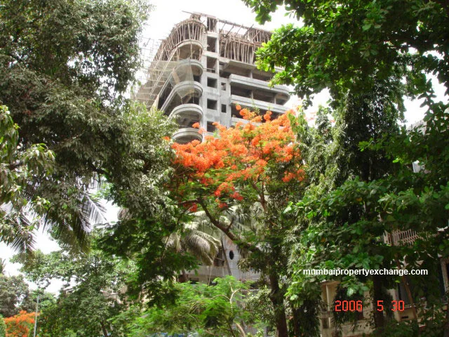 31 May 2006