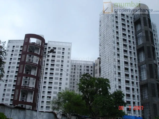 31 July 2007