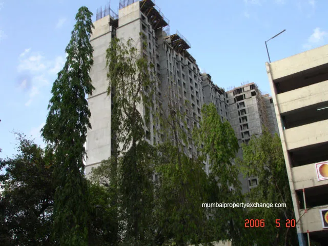 19 May 2006