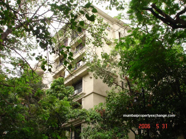 31 May 2006
