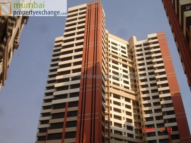 19 Feb 2008