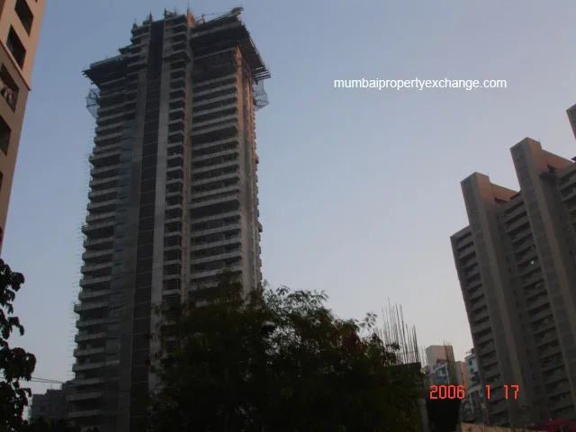 17th Jan 2006