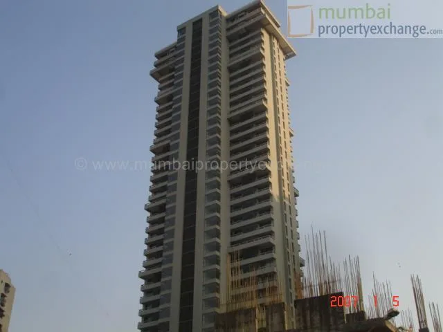 5 January 2007