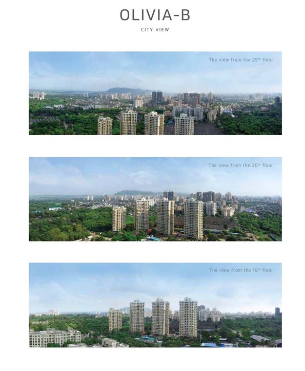 City Views from Olivia B