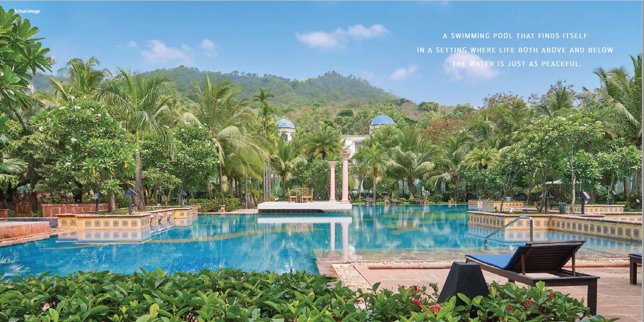 Olivia Swimming Pool