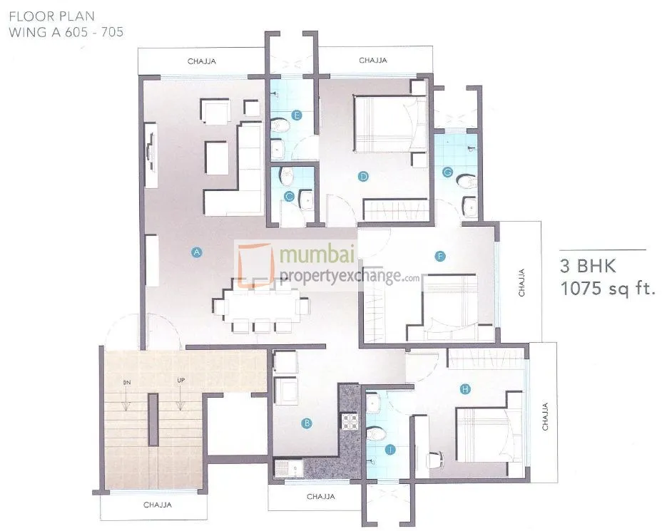 4 BHK Flats for Sale in Gurukripa, Juhu