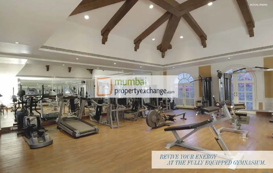 Gym Plan