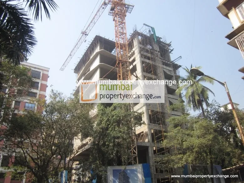 11 January 2016