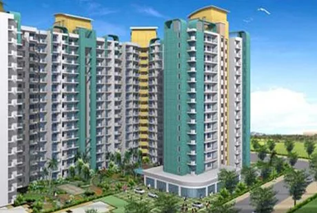 Main Image