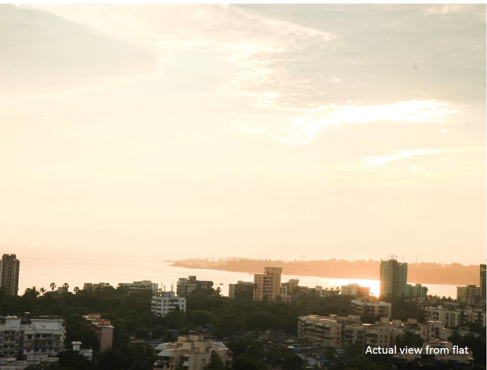 View From Veena Crest