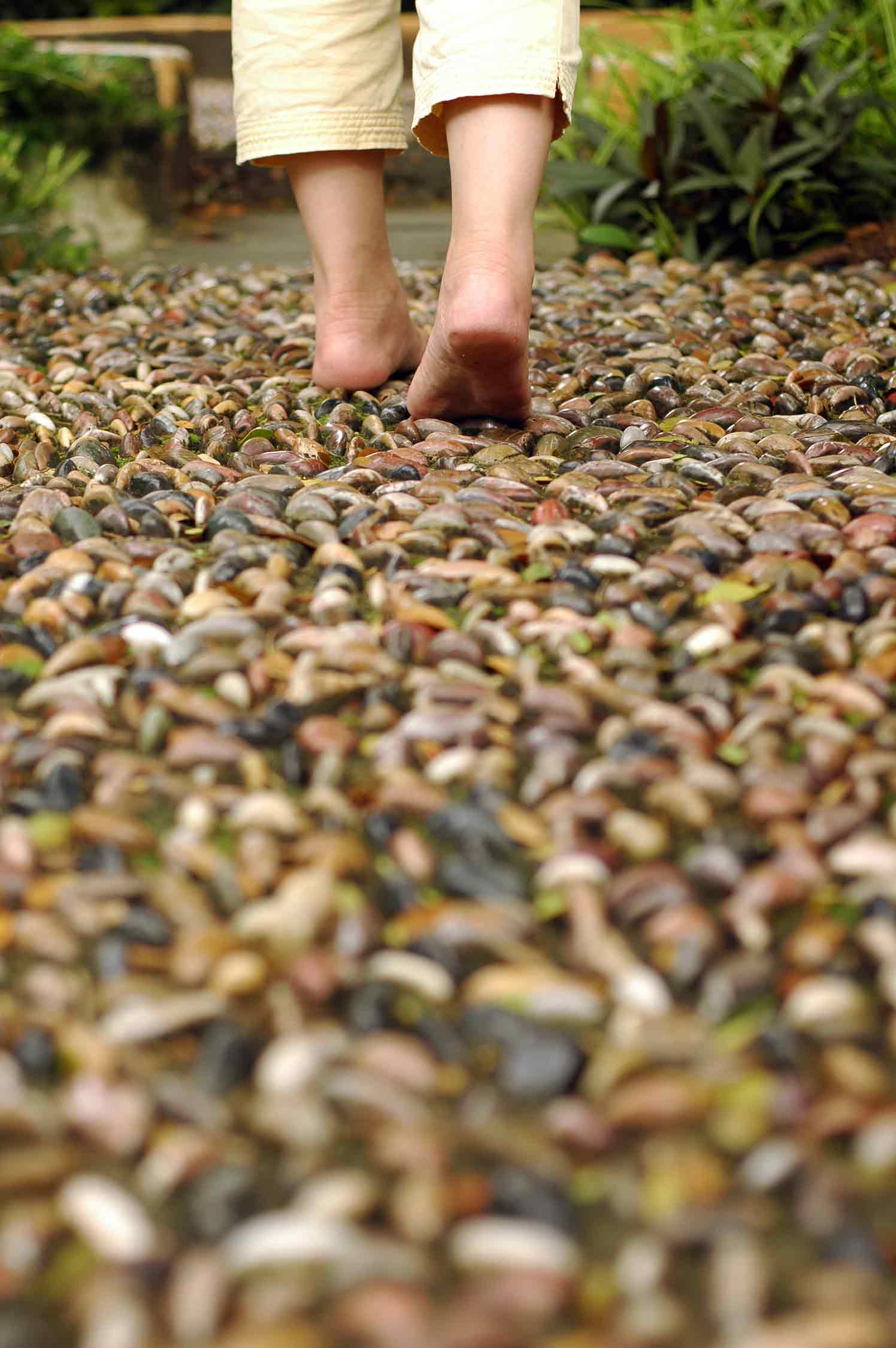 Avant Garde Reflexology track