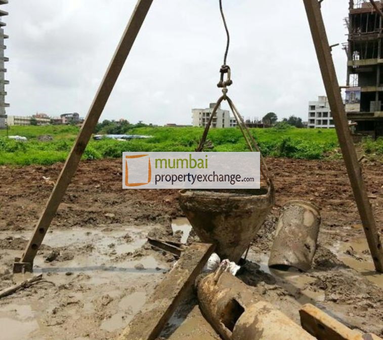 Maple Carniva Site PIc