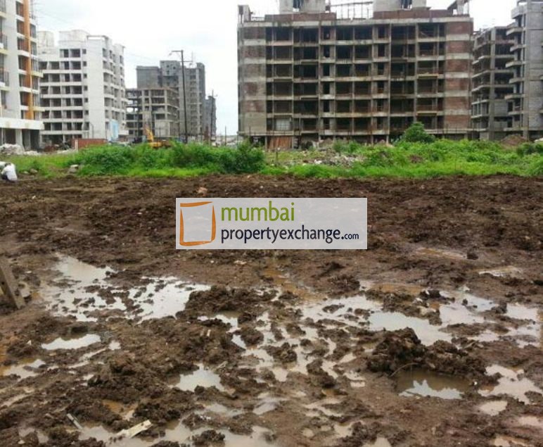 Maple Carniva Site PIc