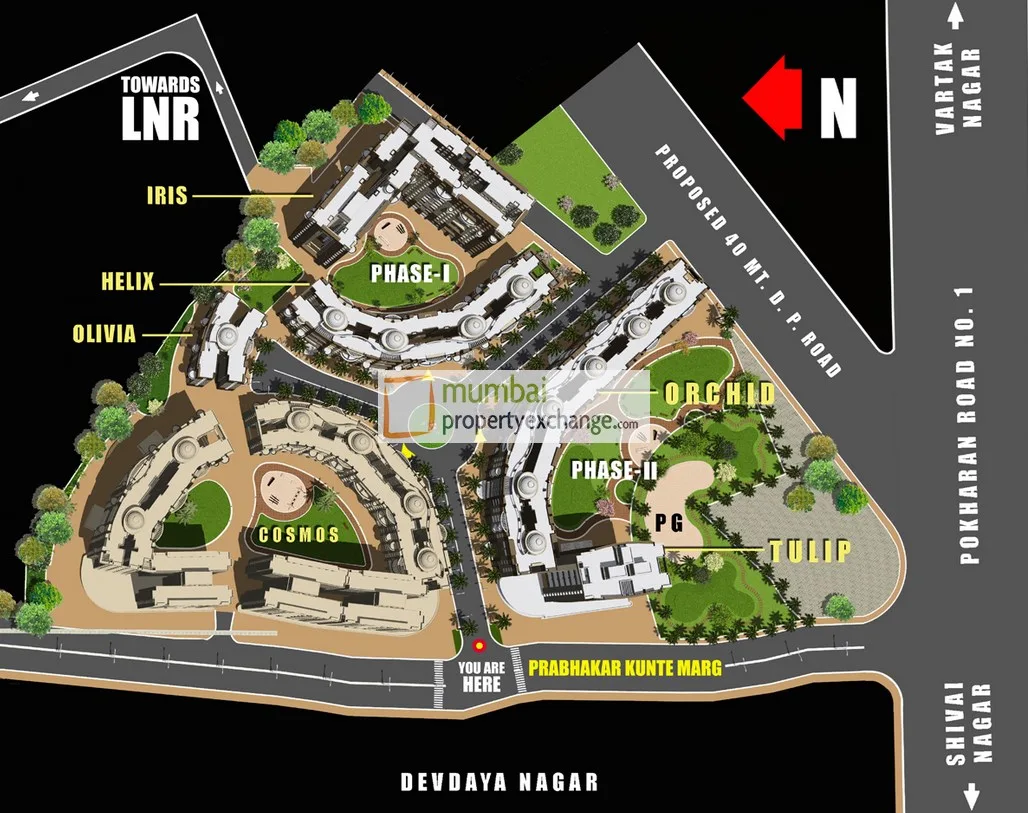 Layout Plan