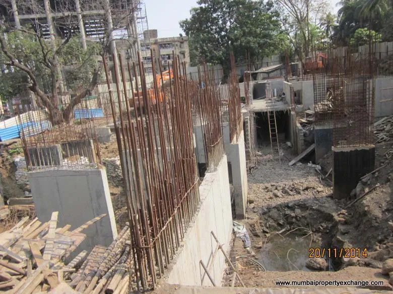 20-Nov-2014 — photo 8
