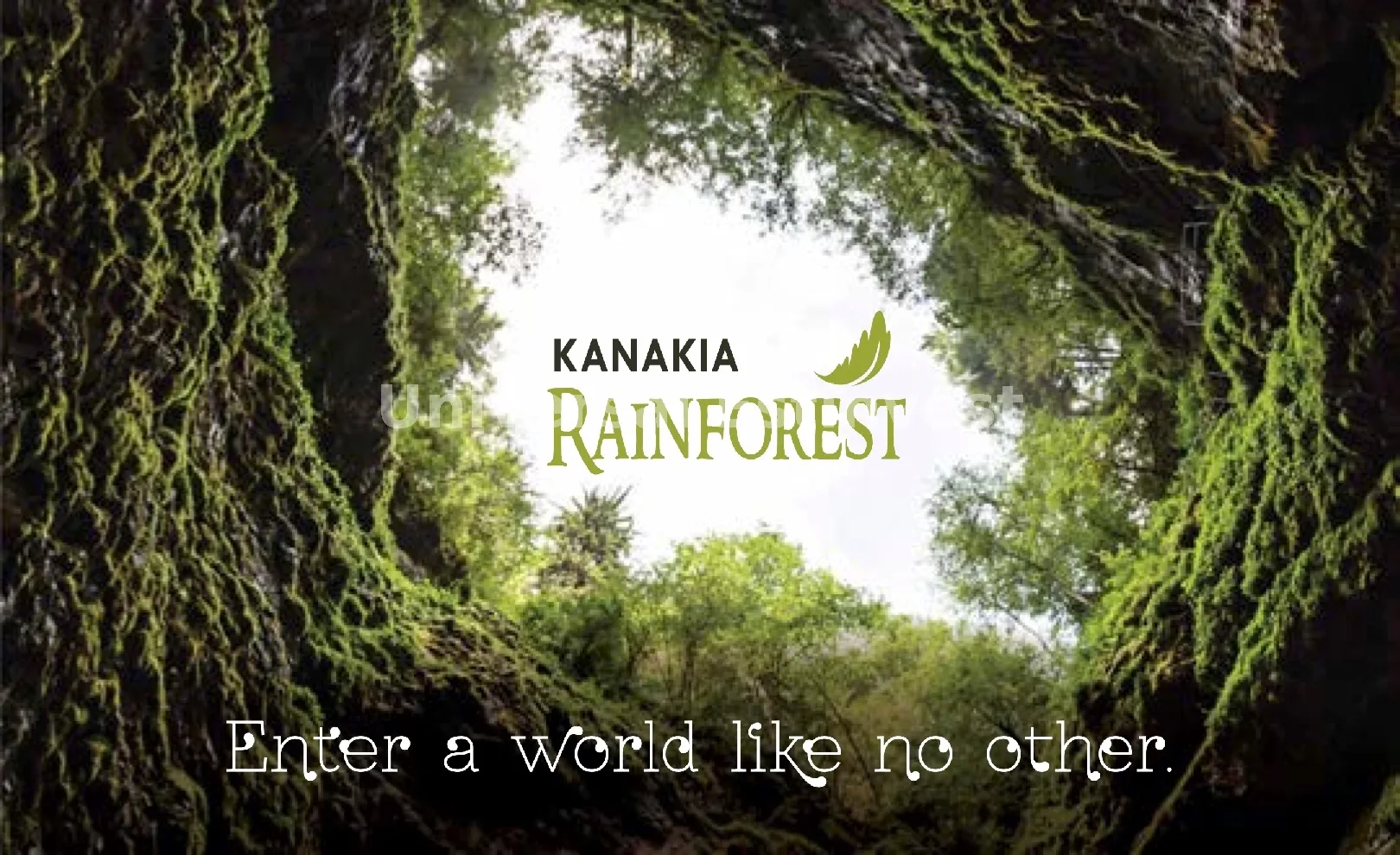 Kanakia Rainforest Banner1