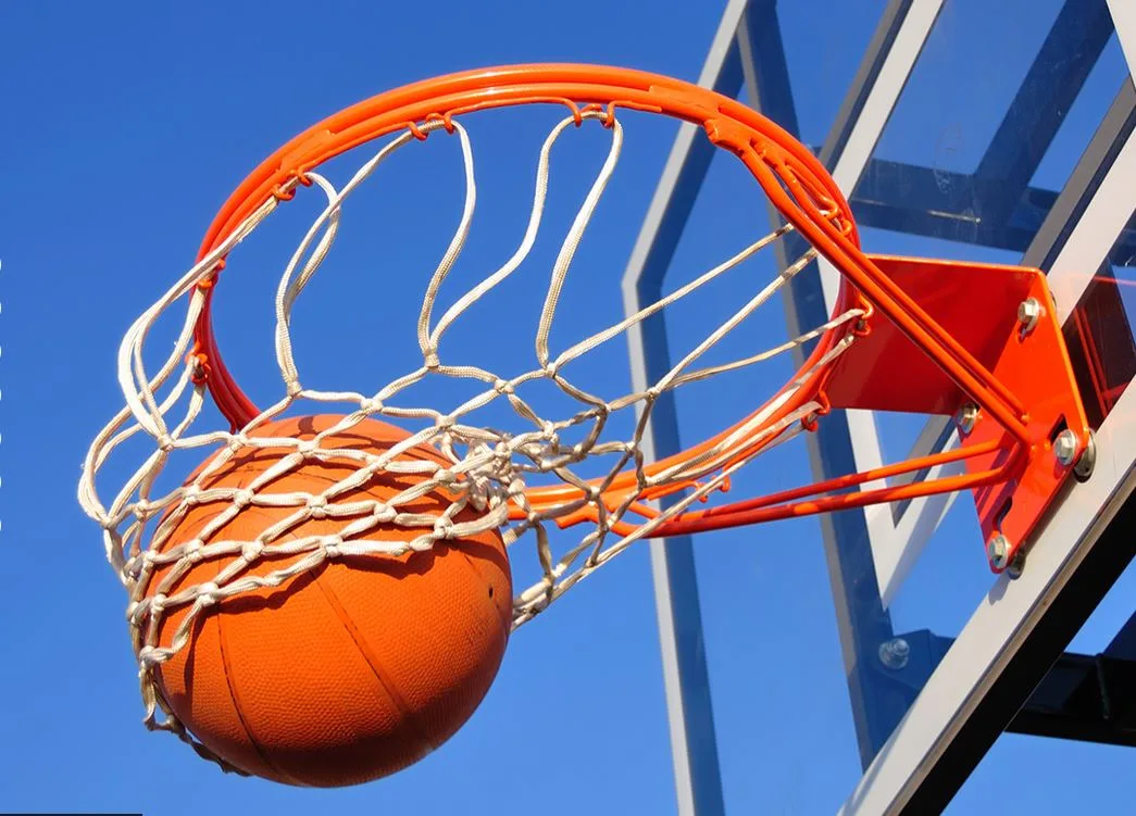 Kanakia Rainforest Basketball Court