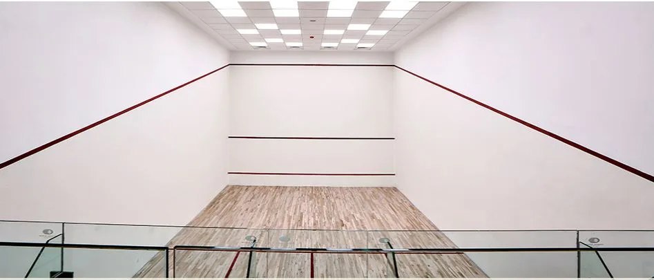 9809_oth_Lodha_Estrella_Squash_Court