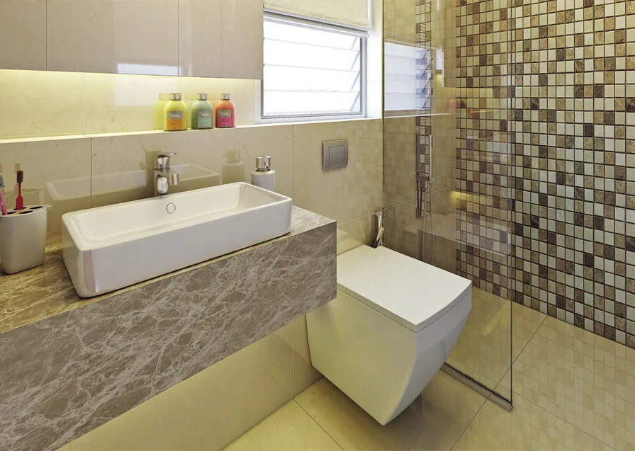 Veena Serenity washroom