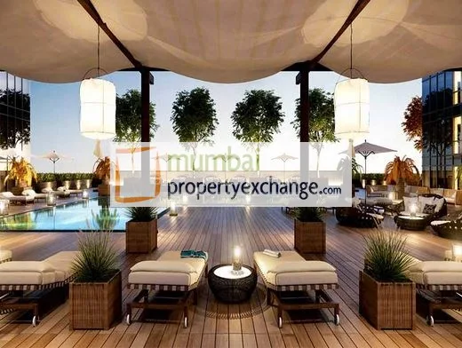 Pool Deck