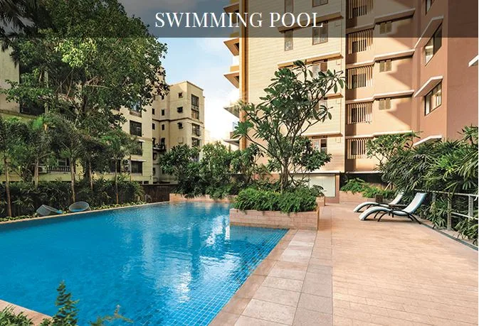 Kalpataru Solitaire Pool