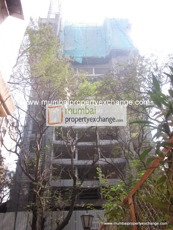 11 January 2016