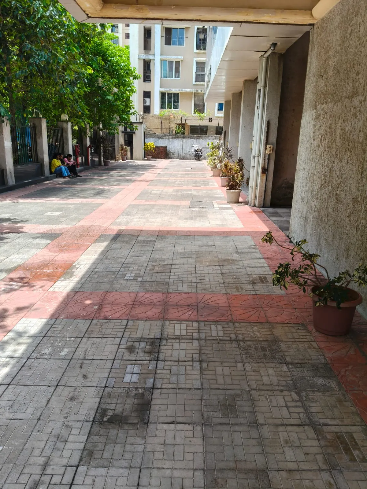 12.webp — photo 12