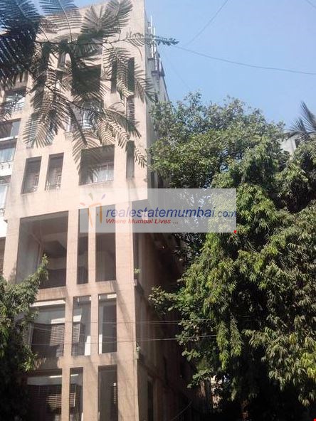 3 BHK Furnished in Little Star , Santacruz West