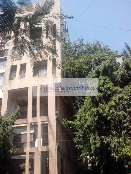 3 BHK Flats on Rent in Little Star, Santacruz West