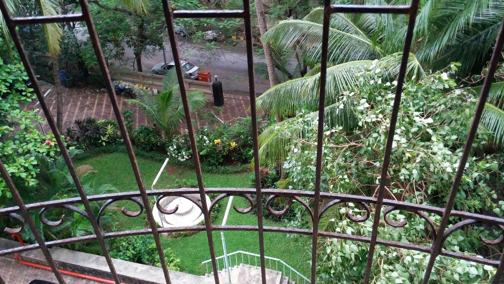 11 - Sea King, Bandra West