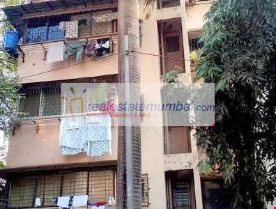1 BHK Flats on Rent in Little Master, Andheri West