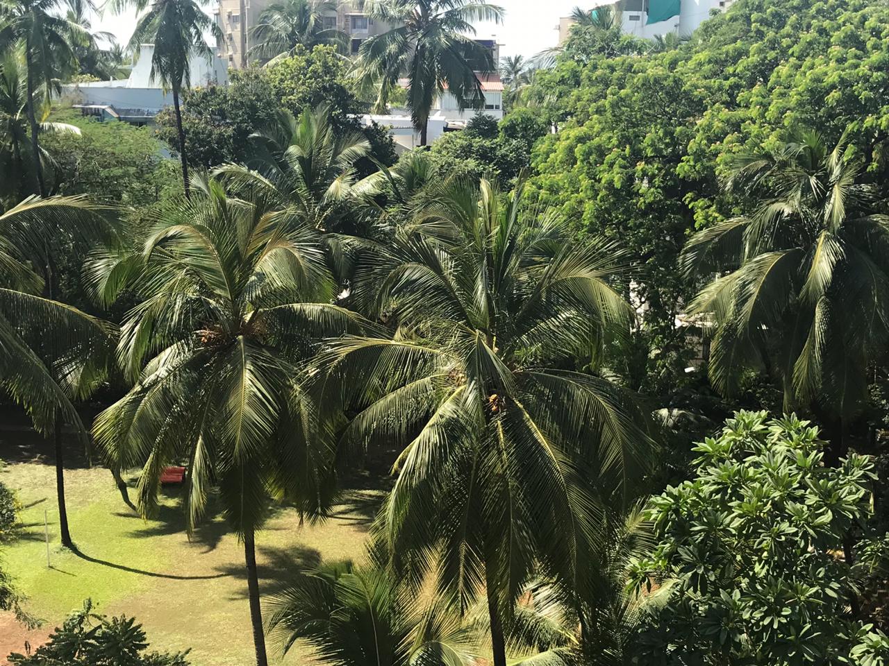 View - Beach House, Juhu