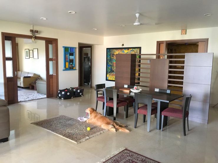 Dining - Ashford Apartment, Nepeansea Road