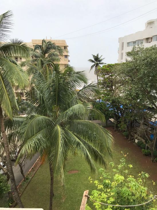 Garden - Sea Palace, Juhu