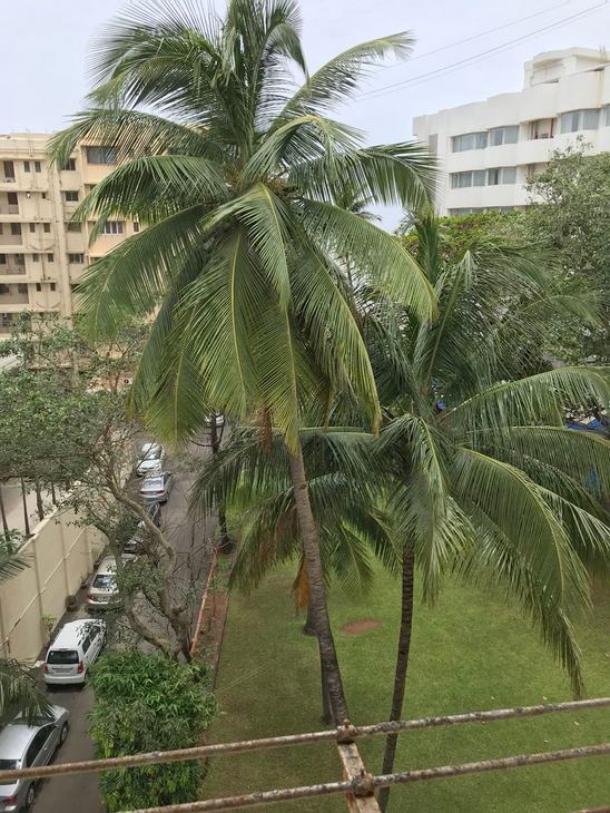 View - Sea Palace, Juhu