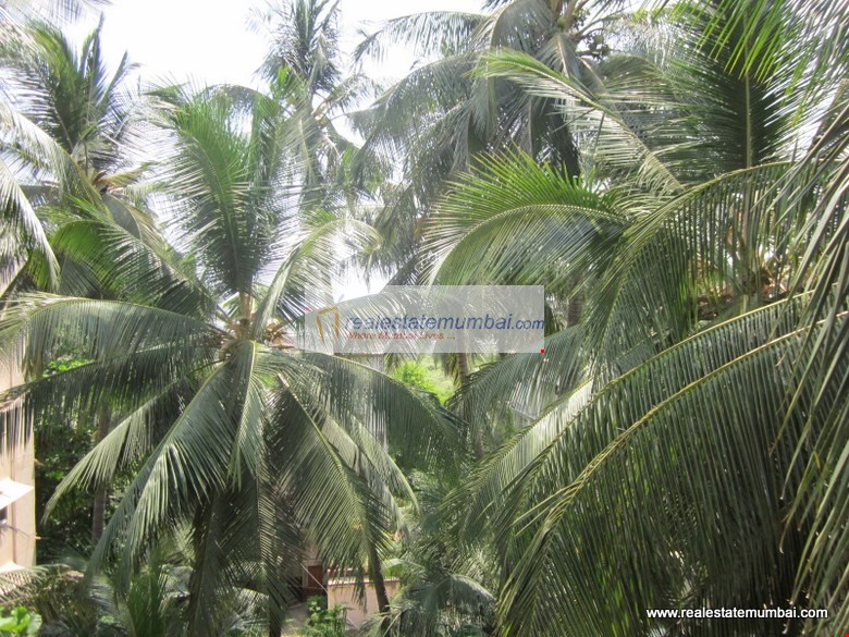 View - Sunset Bay, Bandra West