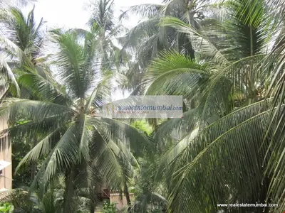 3 BHK Sunset Bay, Bandra West — for Sale — photo 11 thumbnail
