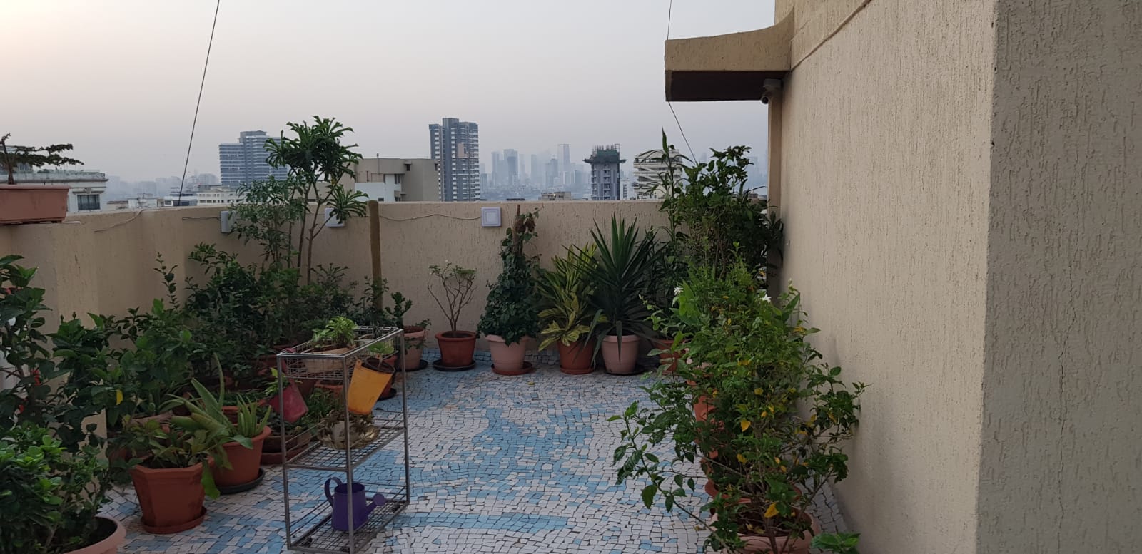 24 - Two Roses, Bandra West