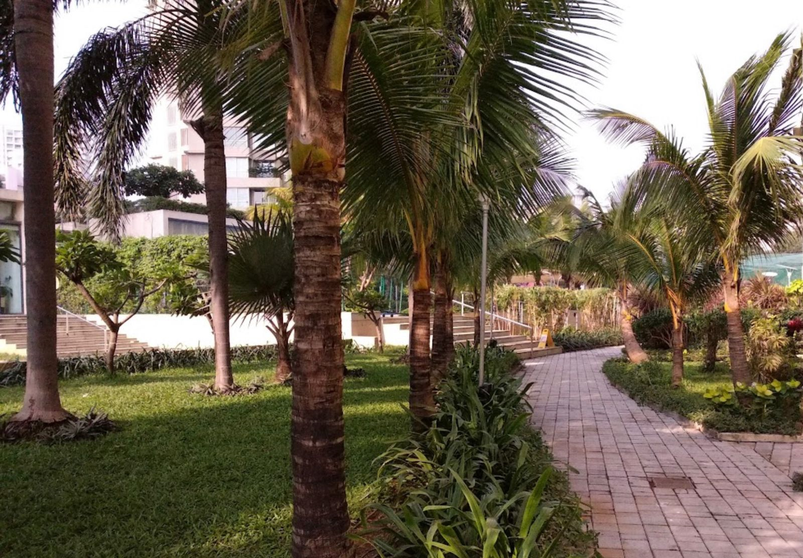 2½ BHK Flats for Sale in Oberoi Springs, Andheri West