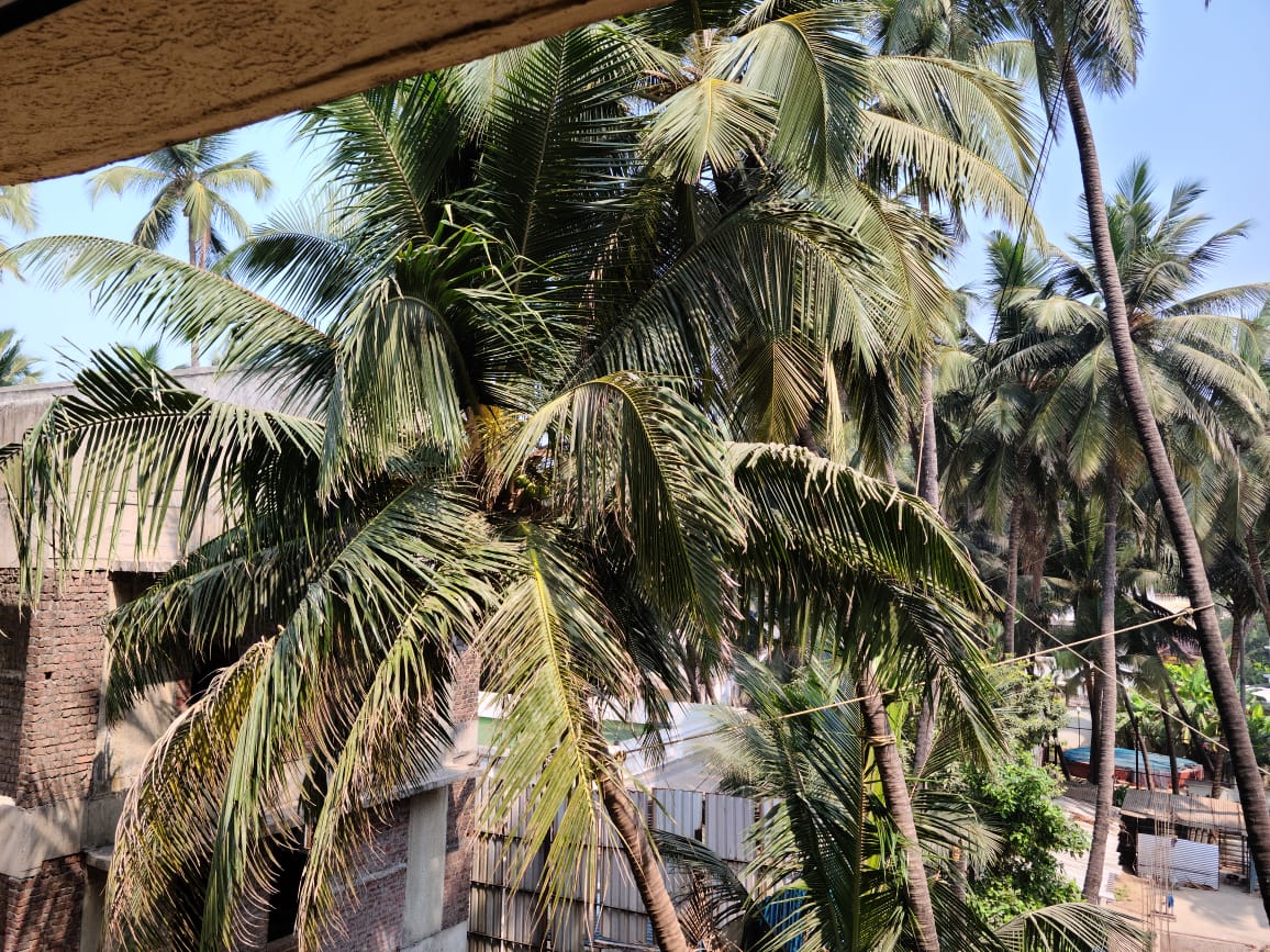 View — photo 2
