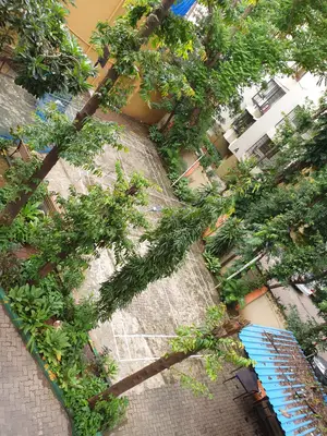 1 BHK Udadhi Tarang, Juhu — for Rent — photo 1 thumbnail