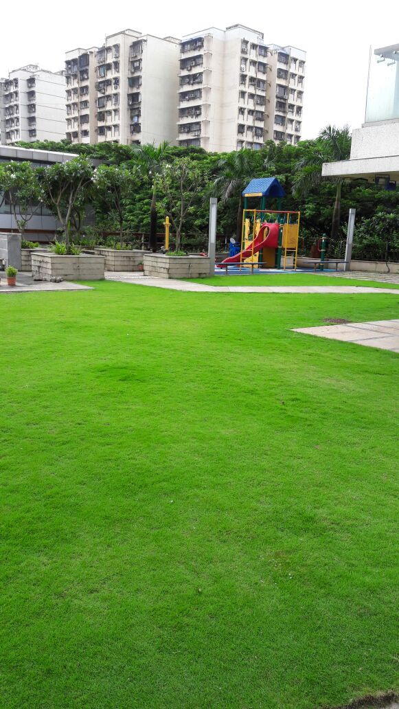 14 - Wadhwa Solitaire, Powai