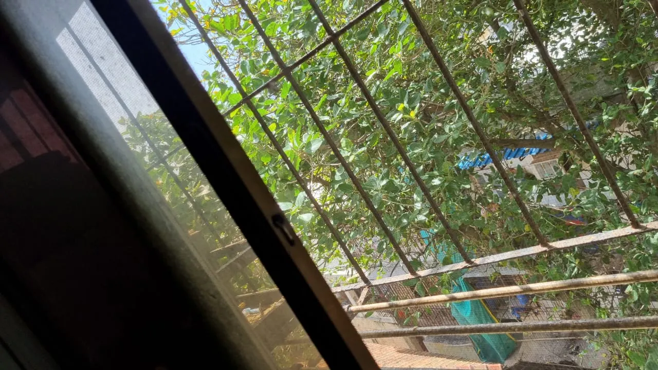 2 BHK Flats for Sale in Asma Palace, Bandra West