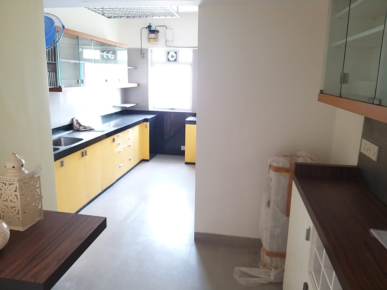 14 - Palm Spring, Cuffe Parade