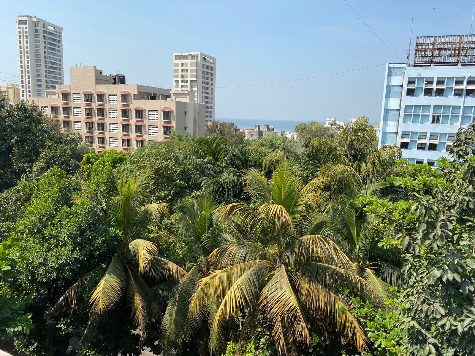 11 - Marlow, Worli